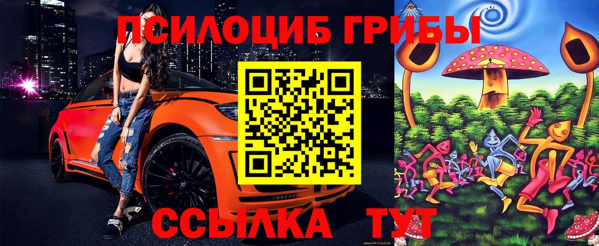 Псилоцибиновые грибы Magic Shrooms Боровичи