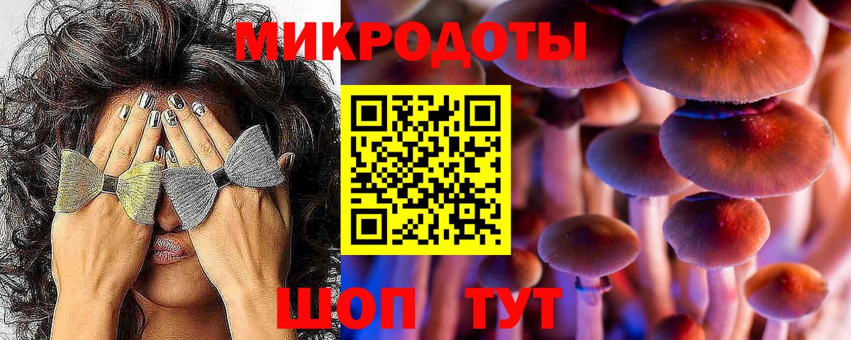 Псилоцибиновые грибы Psilocybe  Вход с VPN  Боровичи 